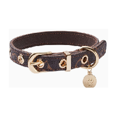 Y06006 Pet Collar
